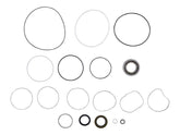 139542 Seal Kit | Skyjack